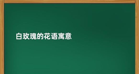 2朵粉玫瑰9朵白玫瑰什么意思？这种组合的花语是什么？