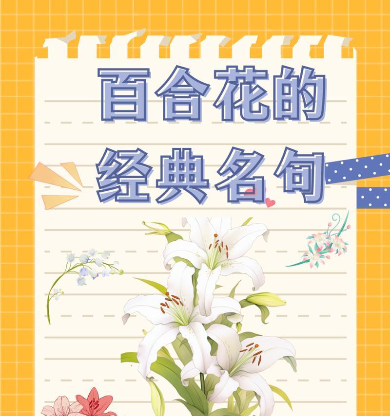 百合花代表的寓意是什么？