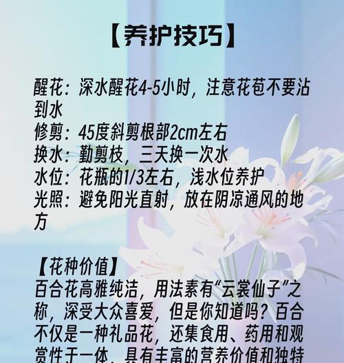 百合花参差不齐的花语含义是什么？