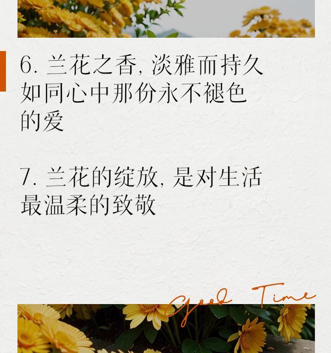 清秀兰花代表什么？花语有哪些？