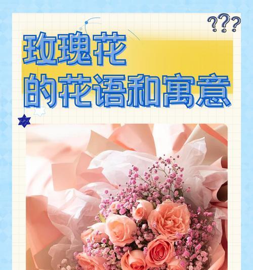 六朵百合和十朵玫瑰组合的含义是什么？