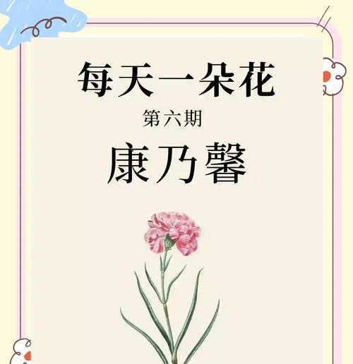 康乃馨9朵花语有哪些特别含义？