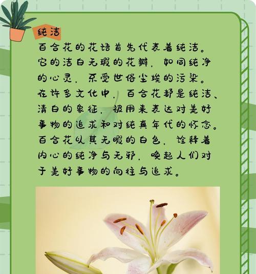 哪种花的花语代表家？花语中与家相关的花有哪些？