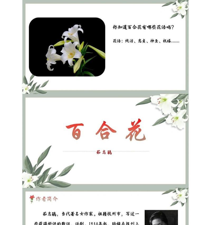 百合花代表什么含义？百合花的象征意义是什么？