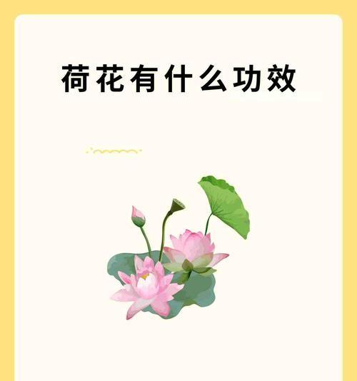 莲花的花语有何深意？