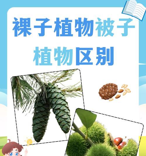 裸子植物小报如何绘制？有哪些技巧使其更美观？