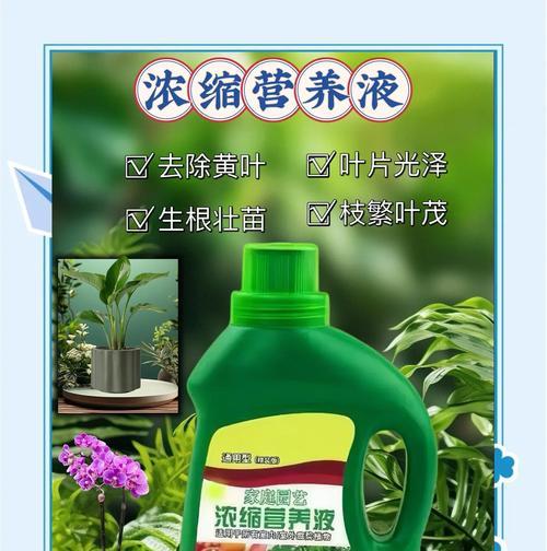 植物营养液怎么加热？加热营养液的好处是什么？