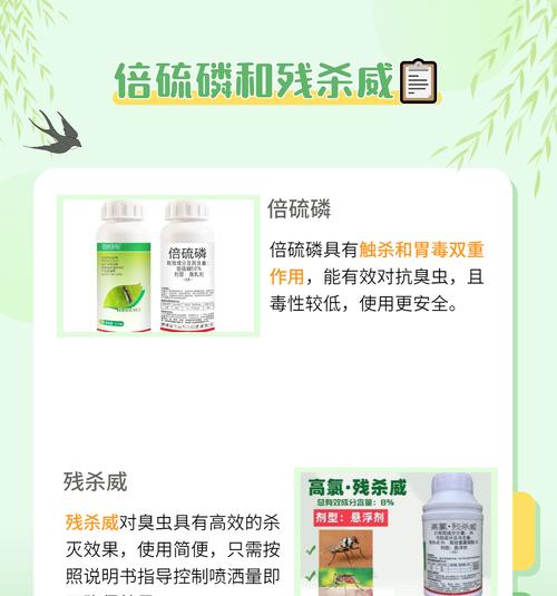 哪些植物能够有效驱赶臭虫？它们的作用原理是什么？