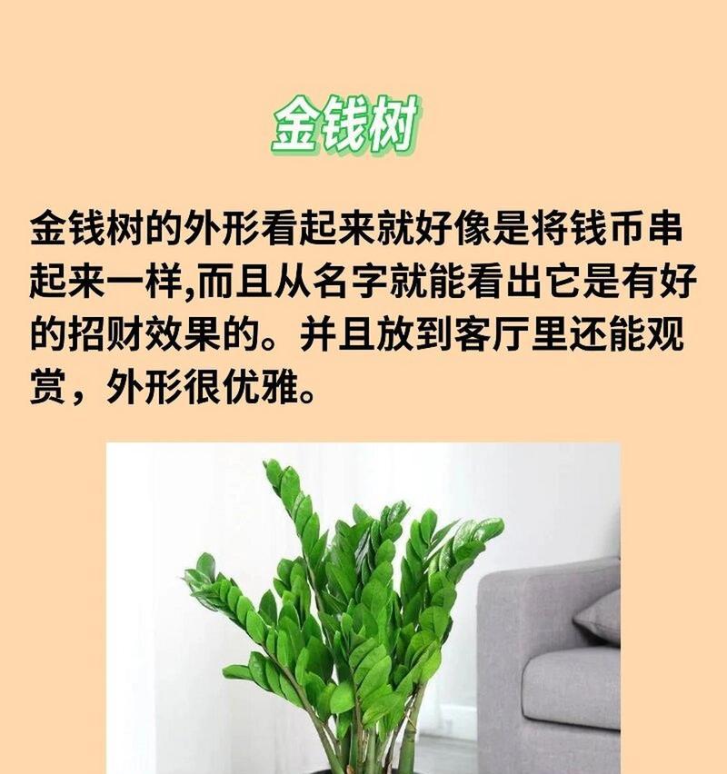 哪些植物品种被认为能招财？招财植物的养护方法是什么？