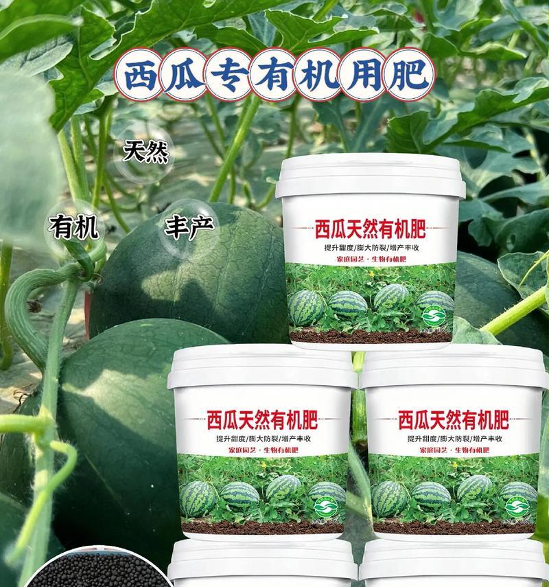 植物肥料果实有哪些特点？如何选择合适的肥料？