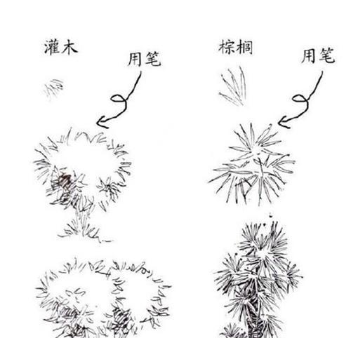 植物树绘画技巧有哪些？初学者如何入门？