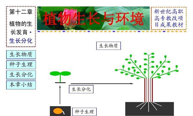 植物怎样才能更快发育？有哪些促进生长的方法？