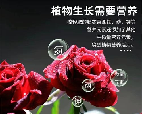 花卉植物肥料的测评标准是什么？