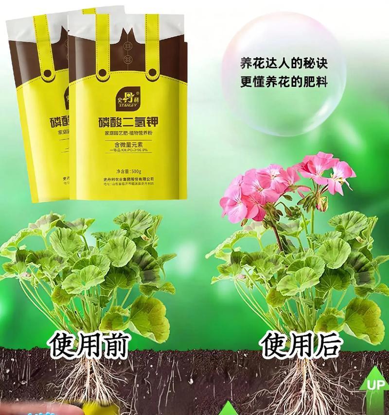 花卉植物肥料的测评标准是什么？