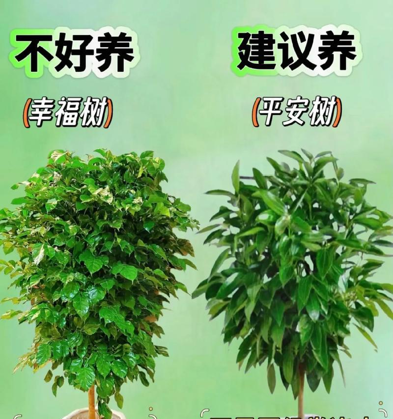 植物包含什么？它们的主要组成部分有哪些？