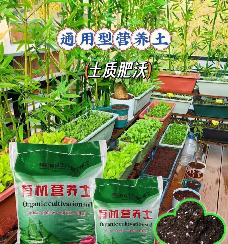 植物专用颗粒泥土有哪些种类？它们各自适合哪些植物？