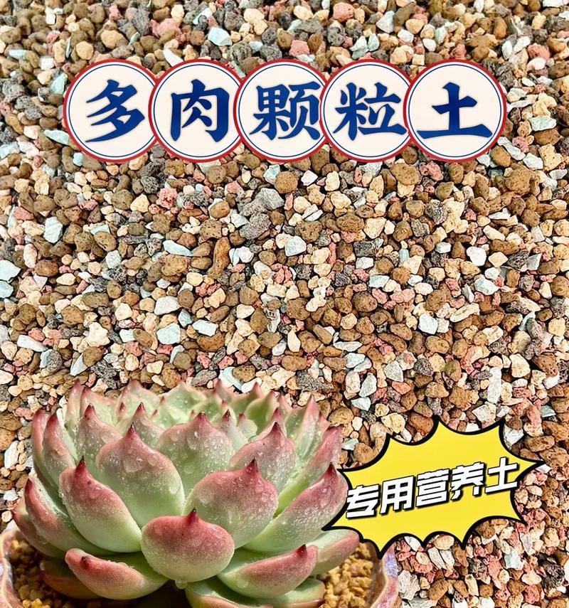 植物专用颗粒泥土有哪些种类？它们各自适合哪些植物？