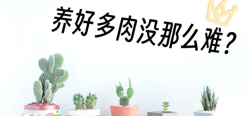 多内植物的养护方法是什么？如何处理其生长问题？