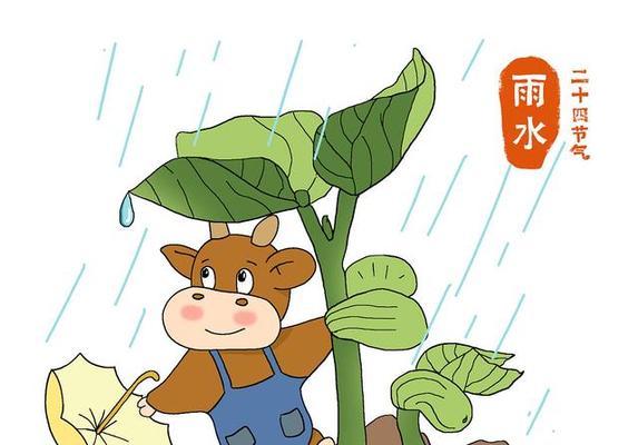 雨水节气适合种植哪些花卉？它们有什么特别之处？