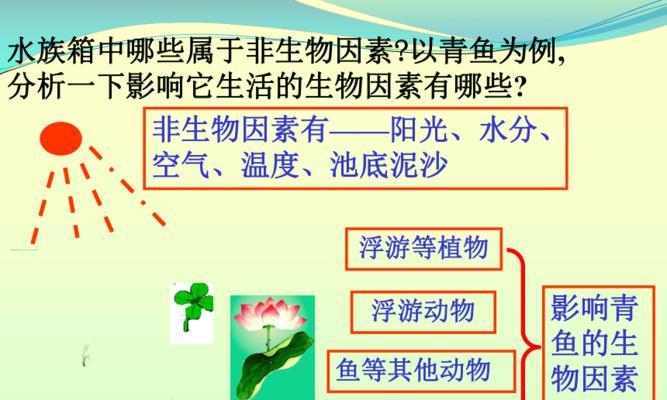 植物盆栽是否构成生态系统？它们的生态作用是什么？