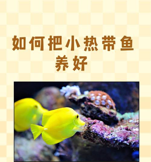 海里面植物哪些最好养活？如何在水族箱中维持它们的生长？