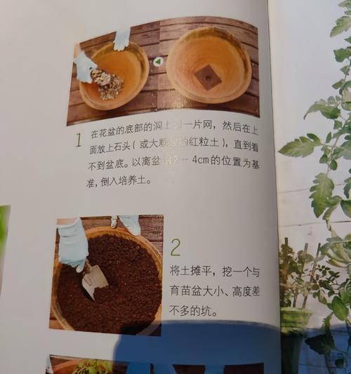 怎么快速选种植物？有哪些方法可以提高效率？