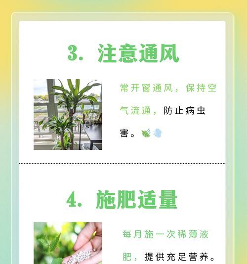 植物黄叶后能存活多久？如何治疗植物的黄叶问题？