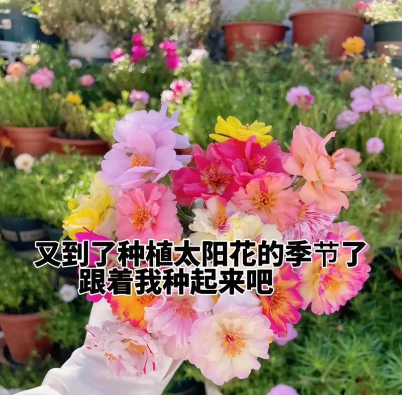 最美的花语是什么意思？那天最美的花语代表什么？