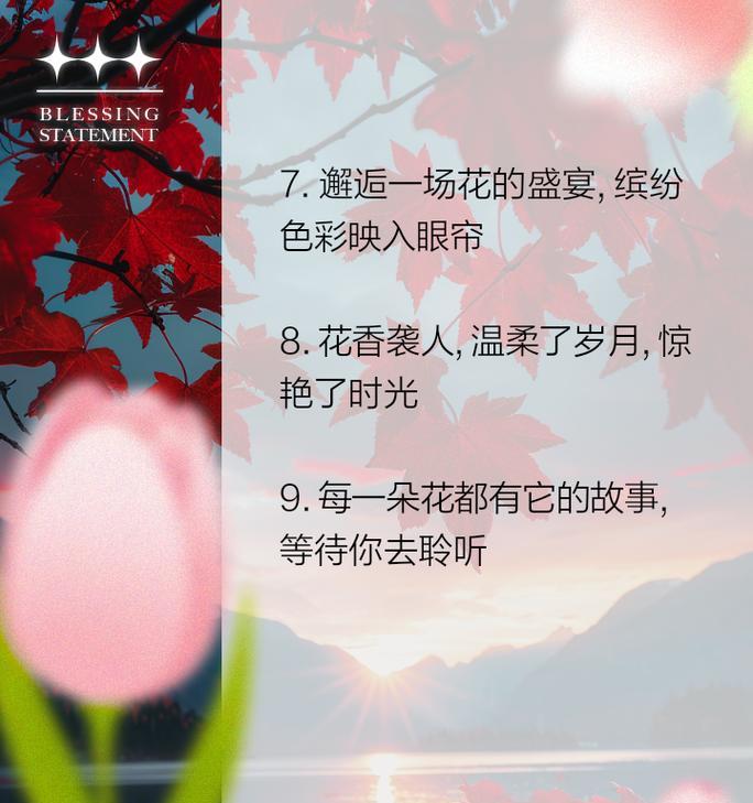 我看不懂花语是什么意思？如何理解花的语言？