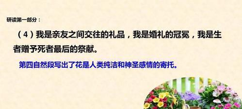 我看不懂花语是什么意思？如何理解花的语言？