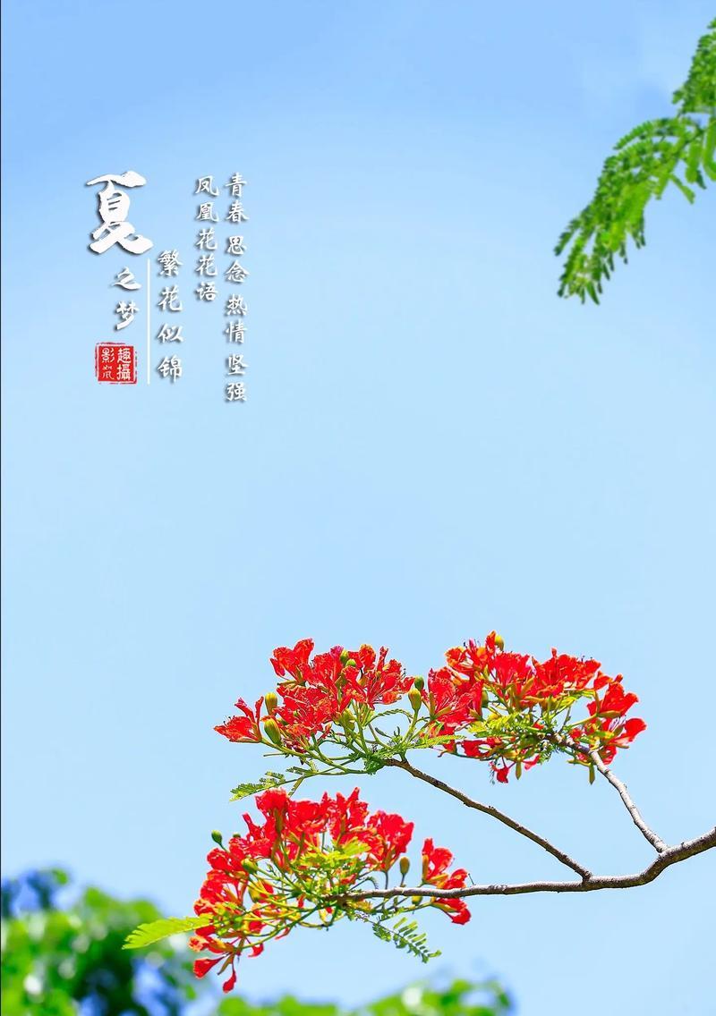 谁能准确说出某花的花语？它在花语中代表了什么？